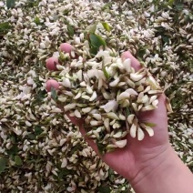 沂蒙山蒜薹