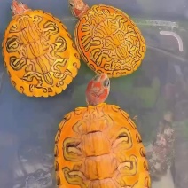 小丑血**蜡笔母碌，变态红头纹，做显彩上色必备