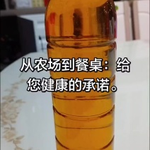 湖南衡阳常宁茶油：