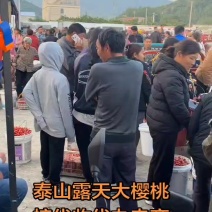 露天大樱桃，红灯，布鲁克斯，美早，黄蜜