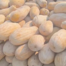 软糯香甜蜜本南瓜