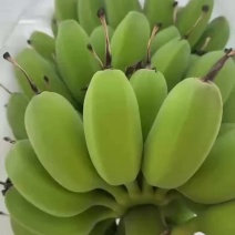 湛江苹果蕉