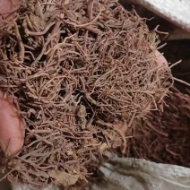 紫苑干货2吨预售