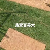 百慕大正好欢迎来购