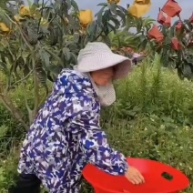 皮薄肉甜