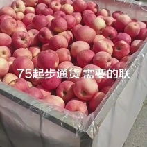 红富士苹果