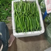 线椒，川椒，另有各种辣椒，尖椒，青椒，麻椒，辣妹子螺丝椒
