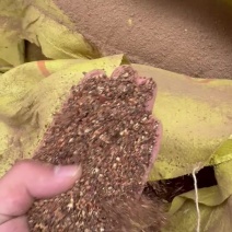 红枣粉高糖份高能量喂牛羊猪鸡鸭鹅都可以