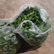 脆皮椒
