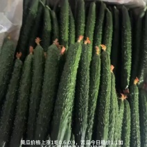 精品黄瓜，通货、电商货有货可联系