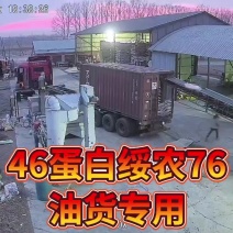 46蛋白绥农76