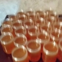 土蜂蜜
