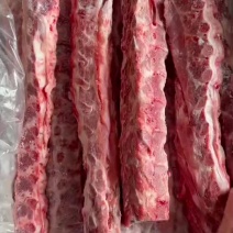 多肉猪龙骨
