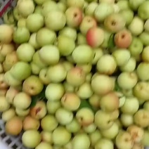 青梅