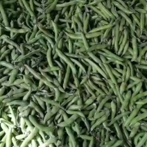 精品蚕豆