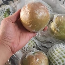 玉露香几万斤，