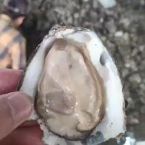 品质没得说，欢迎各位老板咨询