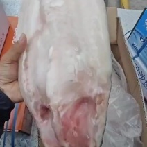 纯干巴沙鱼实拍