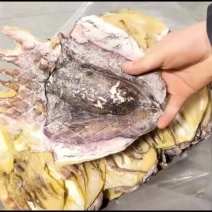 浙江深海大只墨鱼干浙江好货肉质厚实营养滋补
