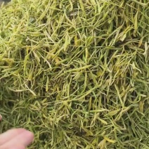 新货银花茶产地直发山银花泡水银花中药材金银花批发