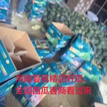 河南夏邑产区