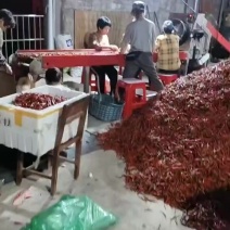 广西小米辣