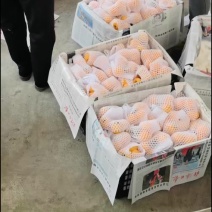 枇粑