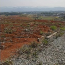千亩药材蔬菜旱地出租
