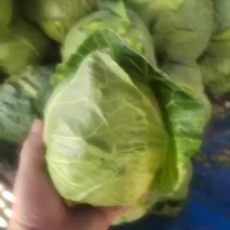 大量供应
