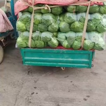 大量現凭什么价格好说