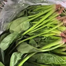 菠菜