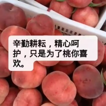 博山红桃