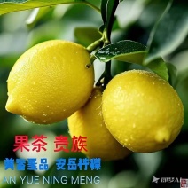 安岳柠檬，柠檬茶饮专用，皮薄多汁，