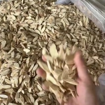 黄芪片甘肃岷县黄芪中药材当季加工黄芪片