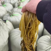 半成品雪里红