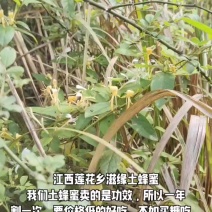 江西省萍乡市莲花县（乡滋缘土蜂蜜）一年只取一次的野蜂蜜