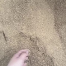核桃粉高脂肪育肥快喂牛羊鸡鸭鹅都可以