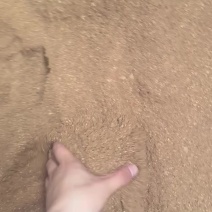 枣粉高糖份育肥快牛羊鸡鸭鹅都爱吃