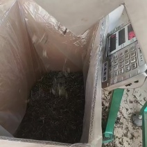 普洱茶