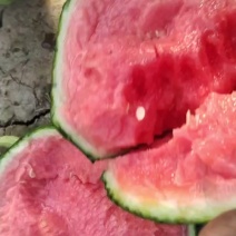 嘉秀6号口口脆