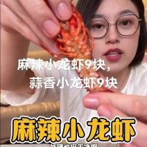 #**系早餐麻辣小龙虾9块，蒜香小龙虾9块，洪湖一家人调味