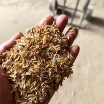 山西吕梁，压缩稻壳，打包稻壳，酿酒制醋，养殖垫圈