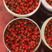 玲珑小番茄，清甜，贝贝，糖伯都有货，多年供应，包装齐全，