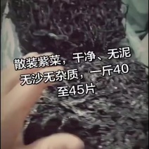 紫菜人工养殖，(色黑叶嫩，免洗无沙，5斤起发货。。。