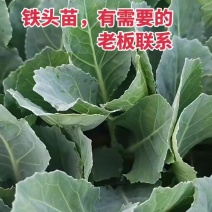 帝王60