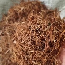 龙胆草