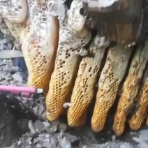 天然野生蜂蜜