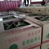 麒麟西瓜