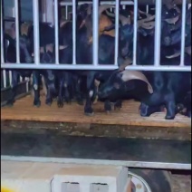 电话详谈
