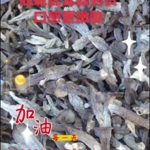 品品鲜瓶栽鹿茸菇，厂家直销价